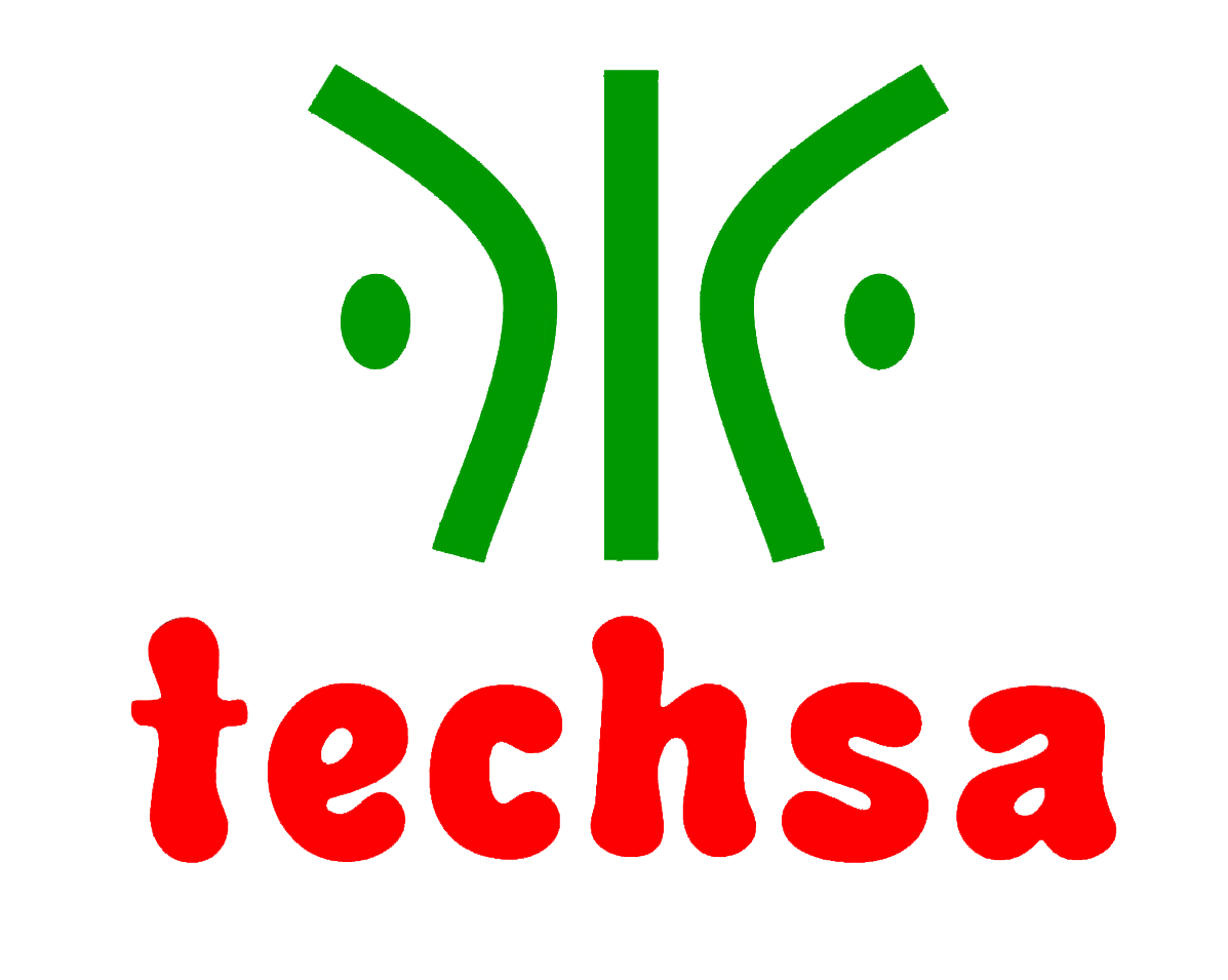 Techsa Services Private Limited